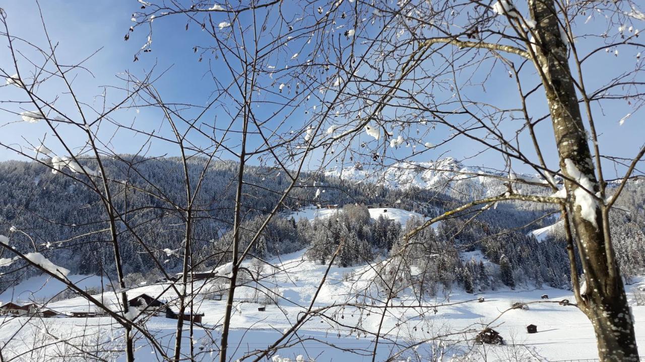 Haus Ruetzbach Leilighet Neustift im Stubaital Eksteriør bilde