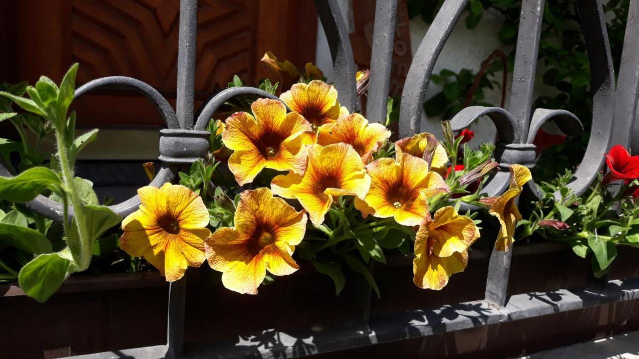 Haus Ruetzbach Leilighet Neustift im Stubaital Eksteriør bilde